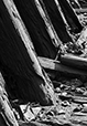 What Remains 14